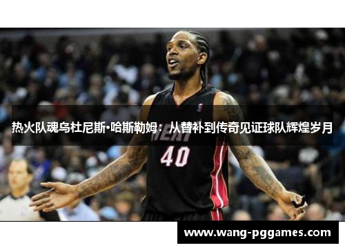 热火队魂乌杜尼斯·哈斯勒姆：从替补到传奇见证球队辉煌岁月