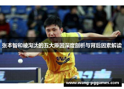张本智和被淘汰的五大原因深度剖析与背后因素解读