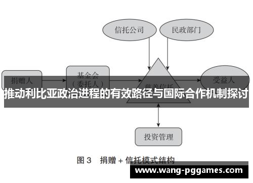 推动利比亚政治进程的有效路径与国际合作机制探讨