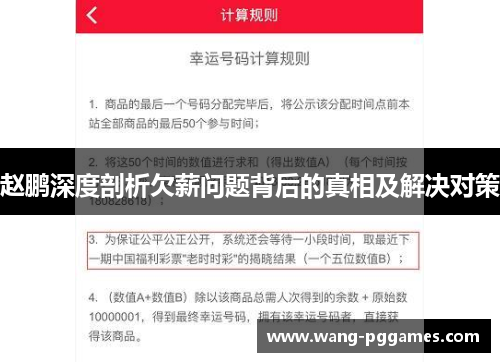 赵鹏深度剖析欠薪问题背后的真相及解决对策