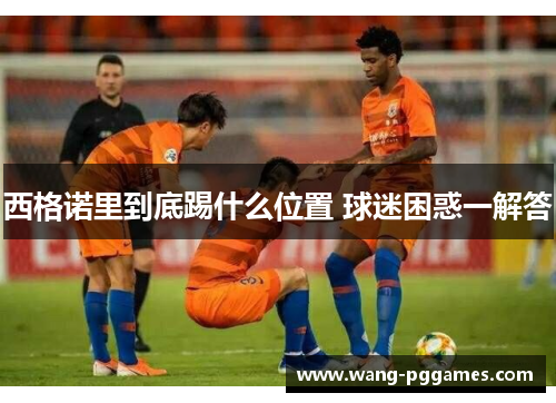 西格诺里到底踢什么位置 球迷困惑一解答