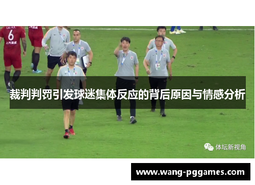 裁判判罚引发球迷集体反应的背后原因与情感分析